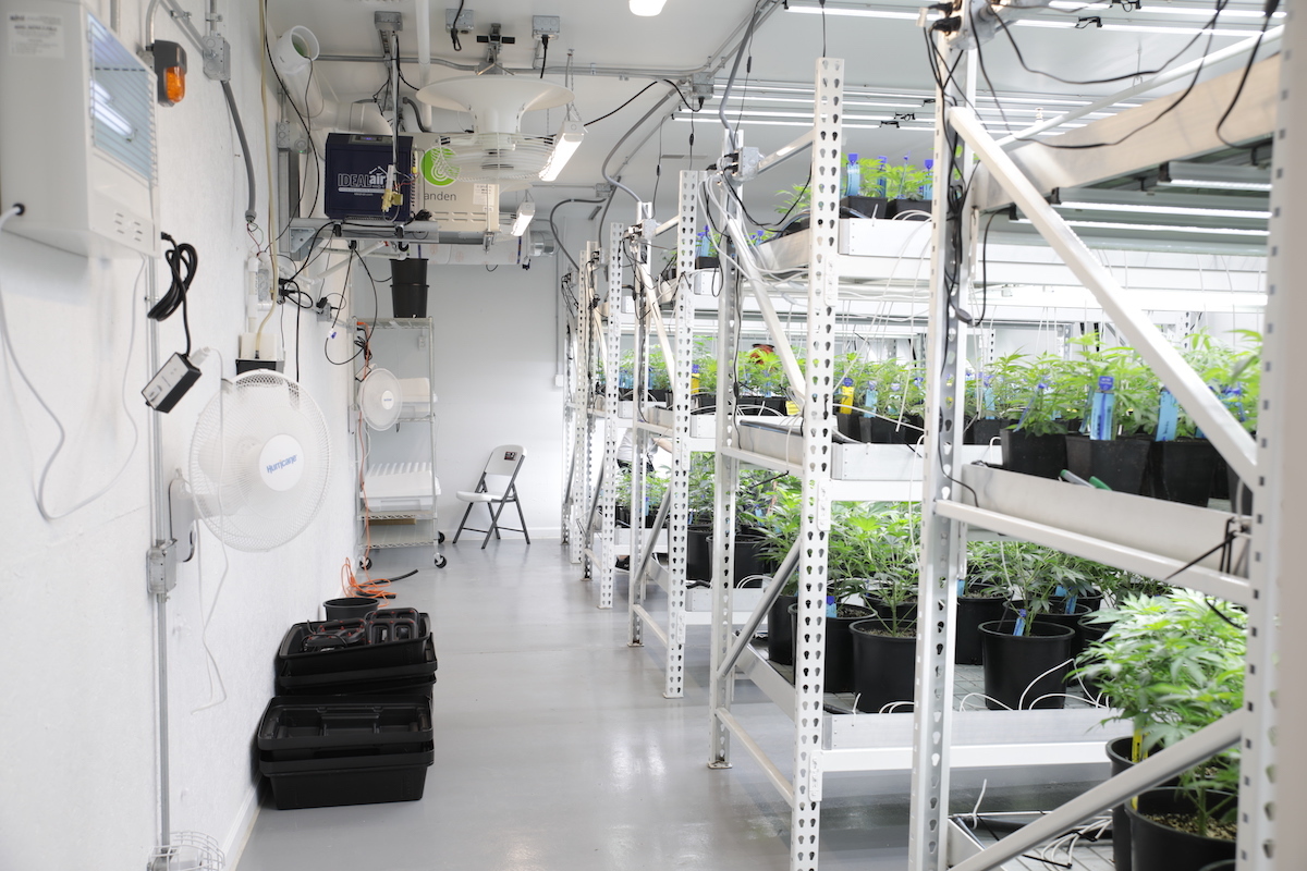 technology for cannabis cultivation