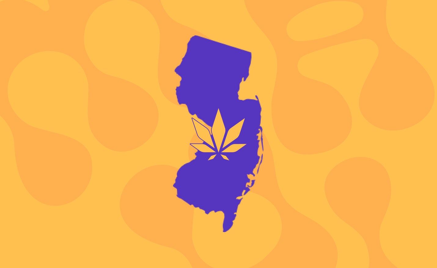 How to Open a Dispensary in New Jersey | Flowhub