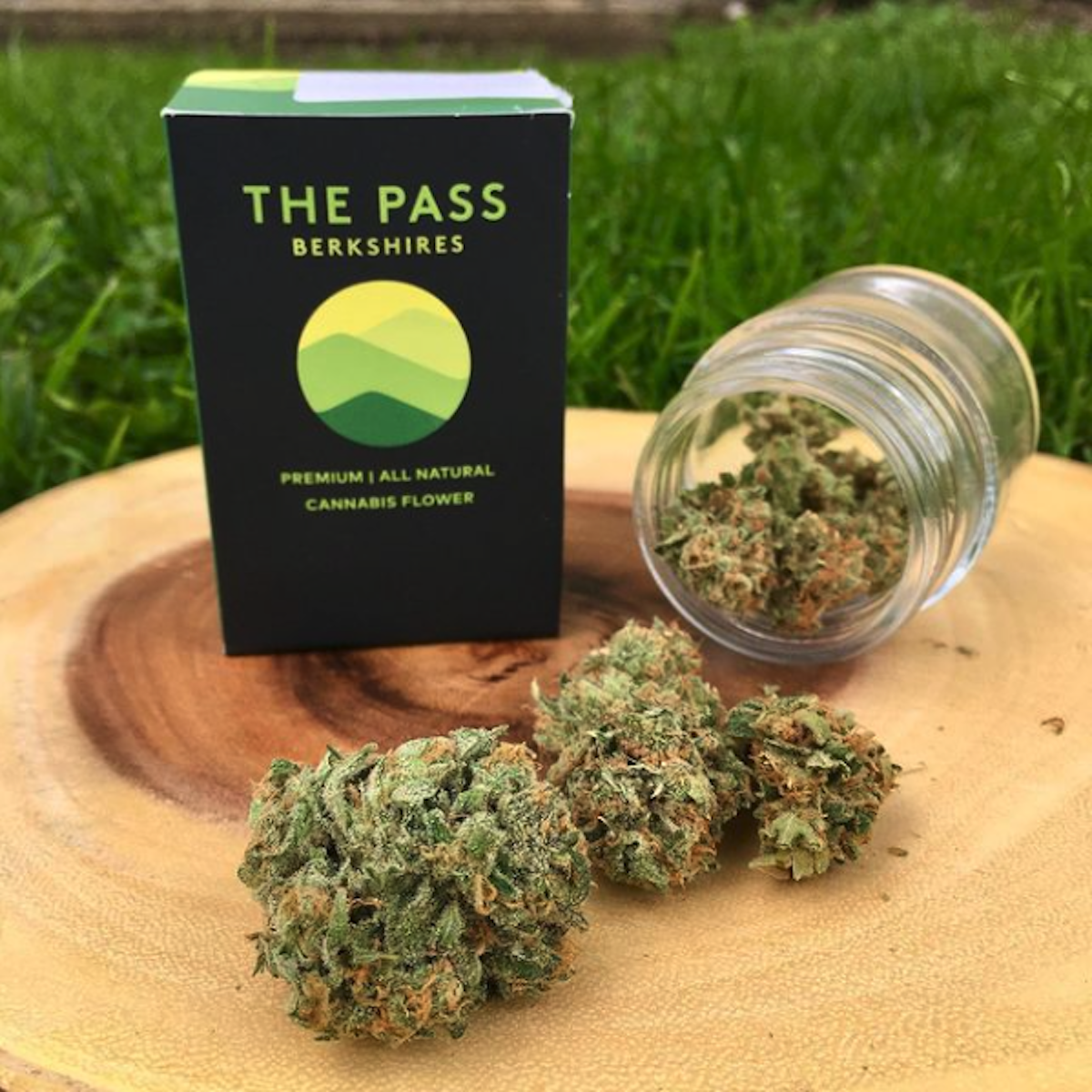 The Pass prepackaged cannabis flower