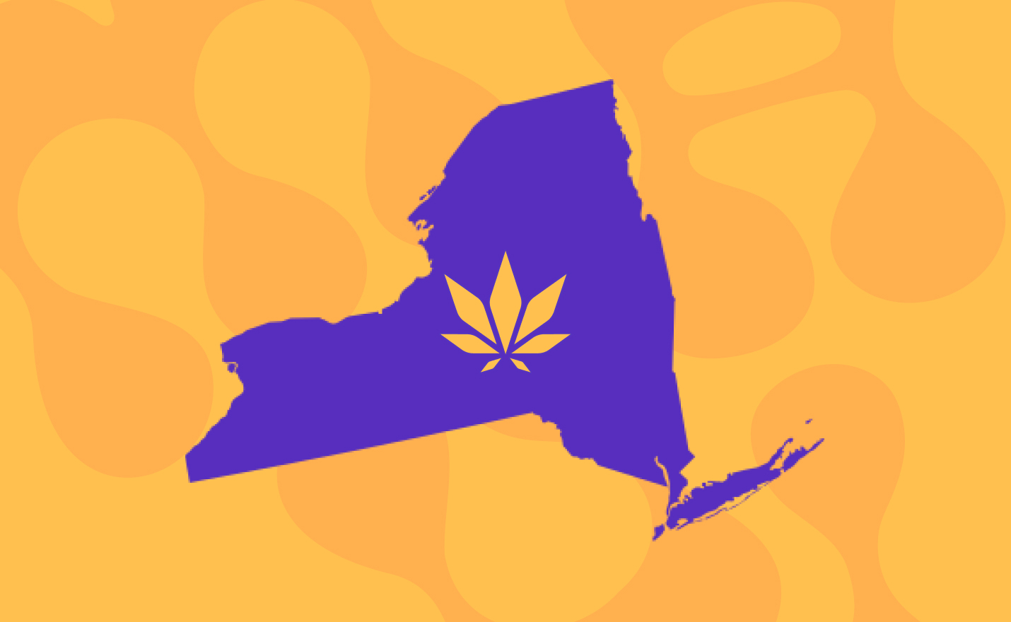 How to Open a Dispensary in New York (2023 Guide) Flowhub