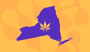 How to Open a Dispensary in New York