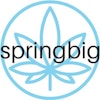 Springbig Logo Icon