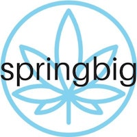 Springbig Logo Icon
