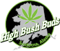 High Bush Buds 2x