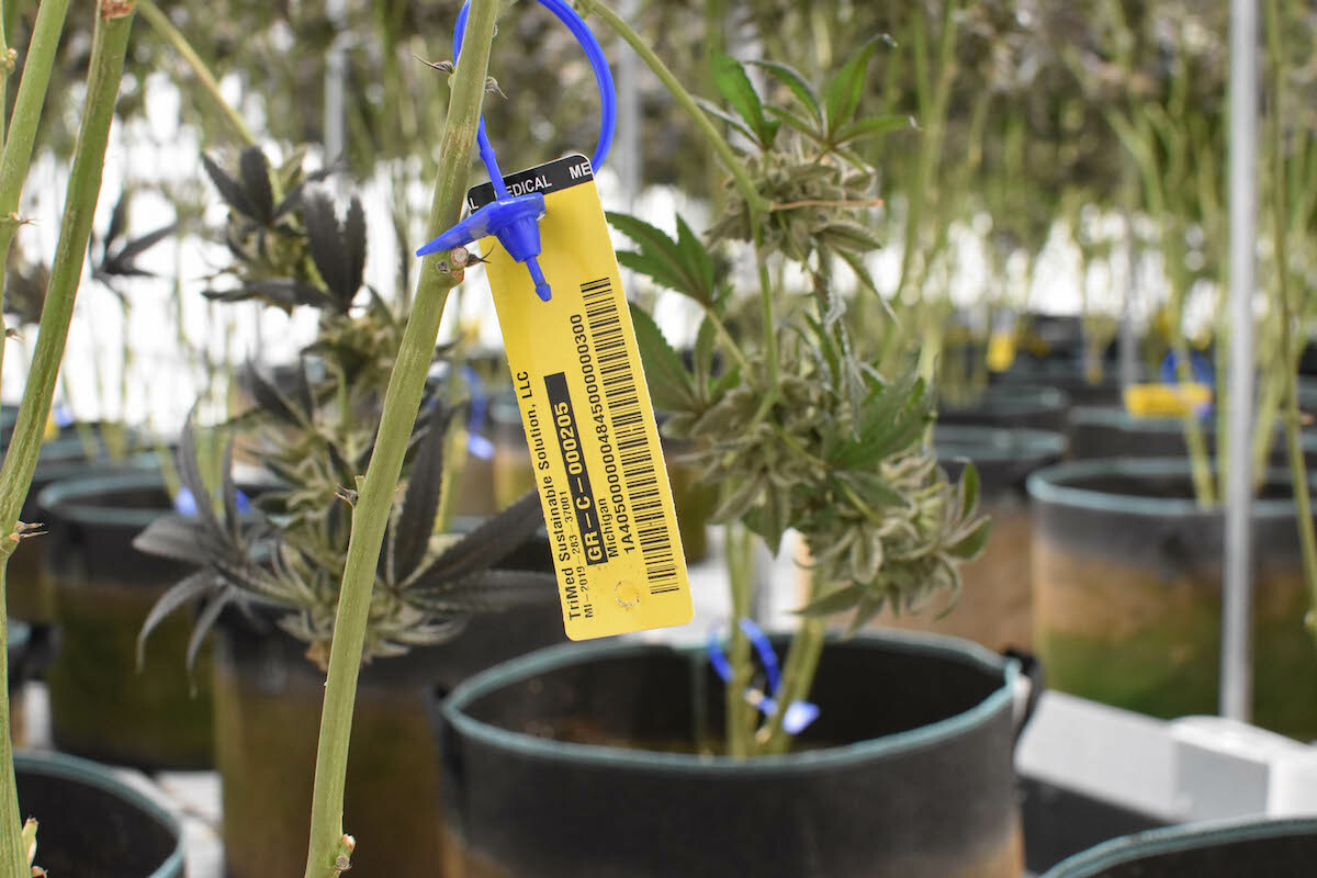 Metrc 101: How to Keep Your Dispensary Compliant