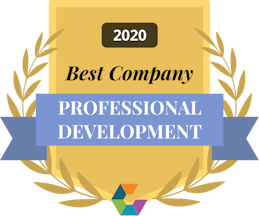 Best professional development 2020 small branded